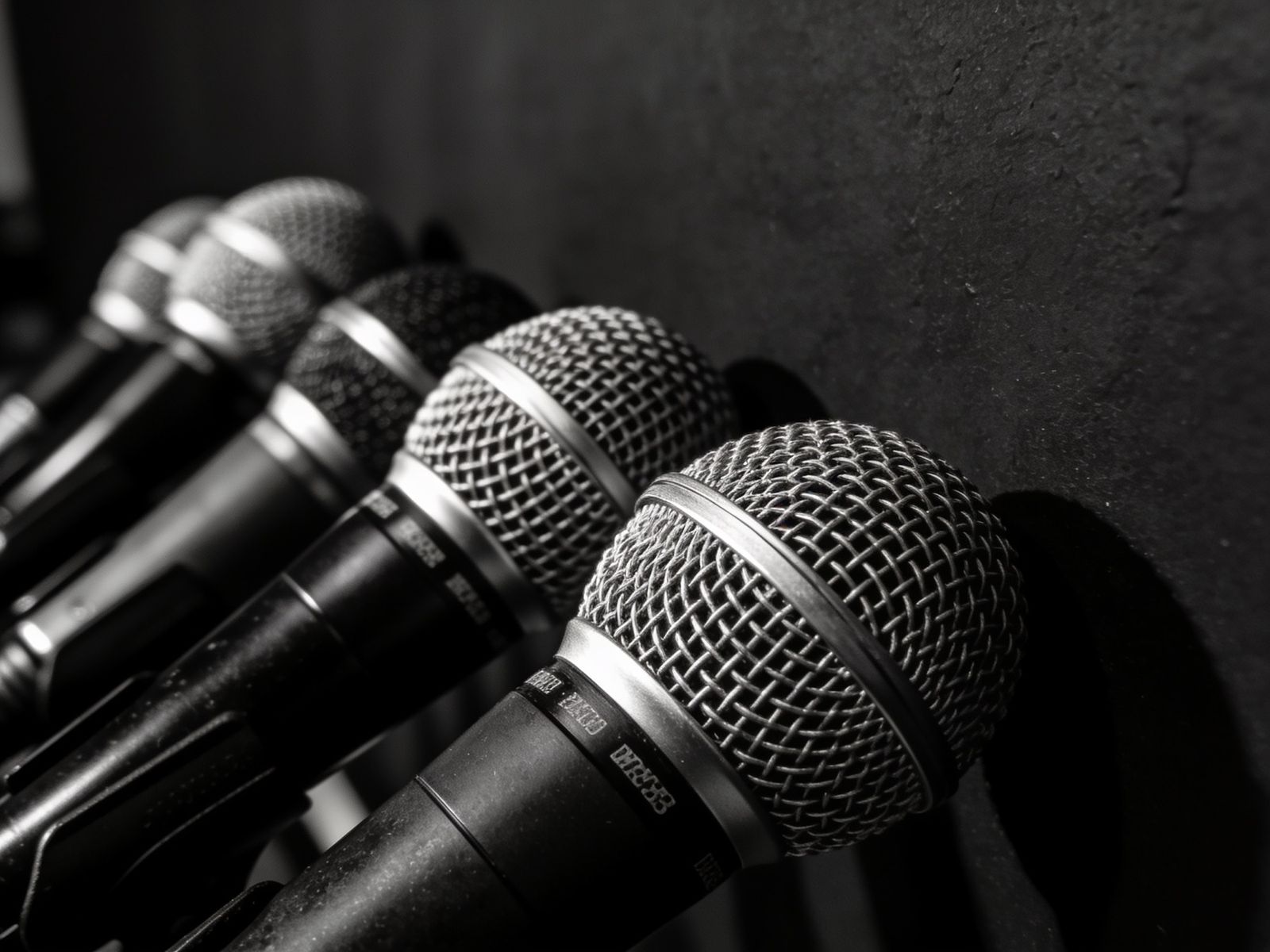 A cluster of press microphones