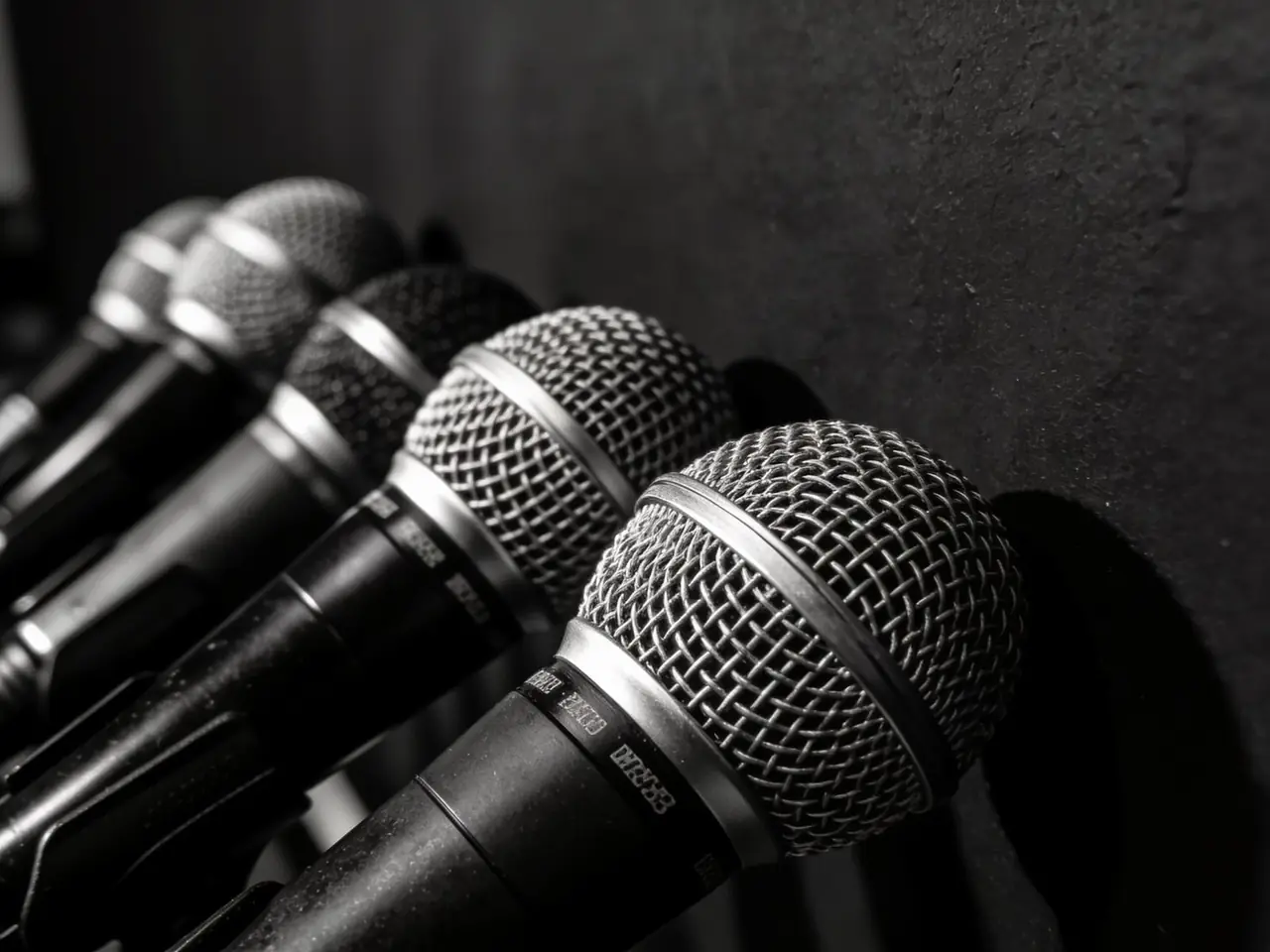 A cluster of press microphones